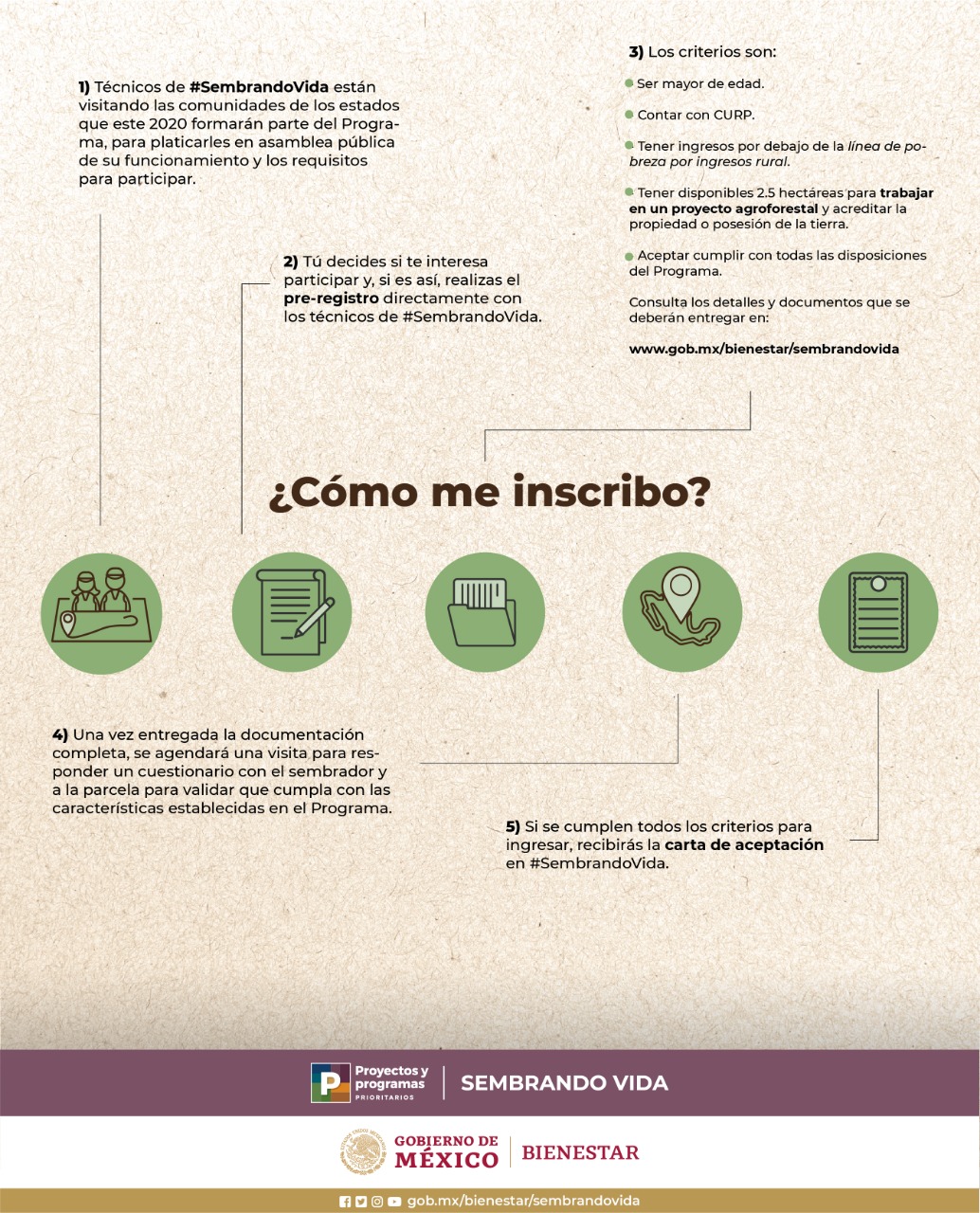 Como puedo entrar a trabajar en Sembrando Vida | Guía de inscripción