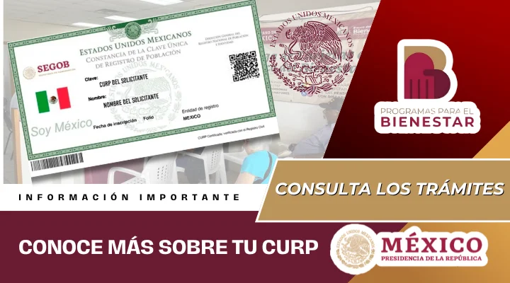 ¿Cómo saber si mi CURP está registrado en Jóvenes Construyendo? 3 como saber si mi curp esta registrado en jovenes construyendo