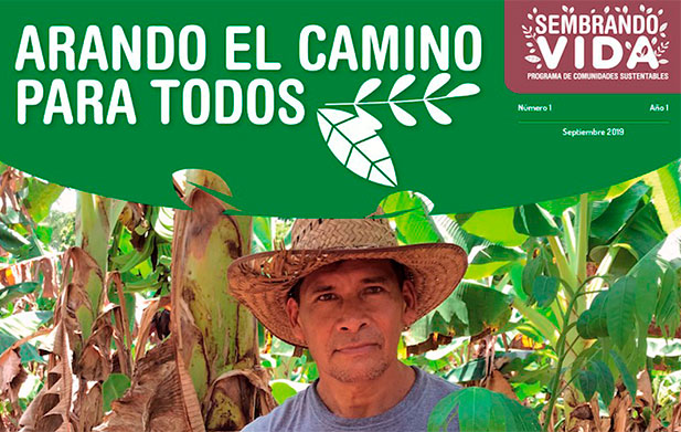 ¿Cuándo pagan Sembrando Vida en septiembre?