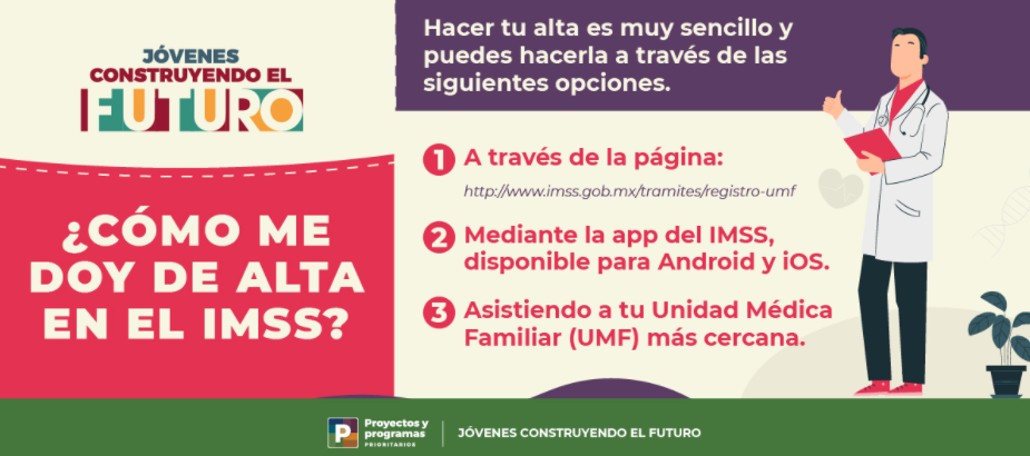 jovenes construyendo el futuro como darse de alta en el imss