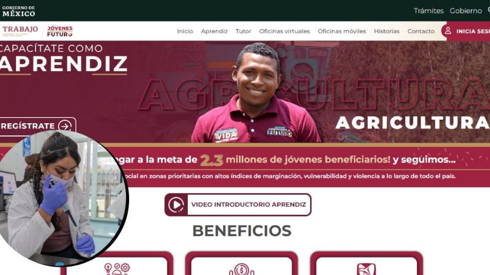 oficinas jovenes construyendo el futuro guanajuato 2024