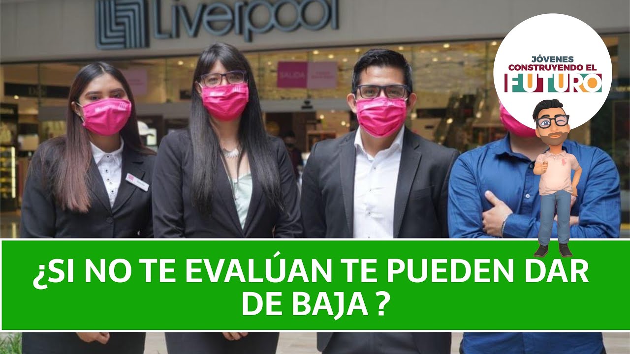 ¿Qué pasa si mi tutor me da de baja en Jóvenes Construyendo el Futuro? - Soluciones 1 que pasa si mi tutor me da de baja en jovenes construyendo el futuro soluciones